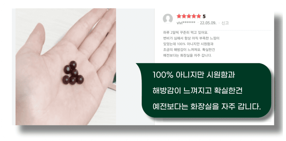 발효효소