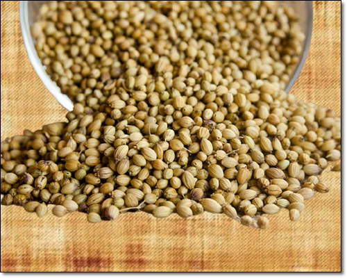 고수씨앗이 건강에 좋은 이유