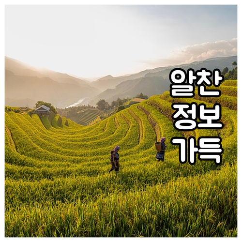 상생페이백 병원 약국 결제, 앱으로 ..