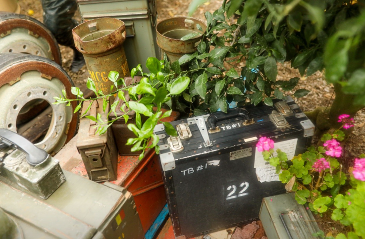 6시내고향 한라봉 제주 서귀포시 쇠소깍산물관광농원