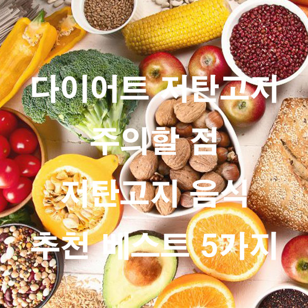 다이어트 저탄고지 주의할 점 저탄고지 음식 추천 베스트 5가지