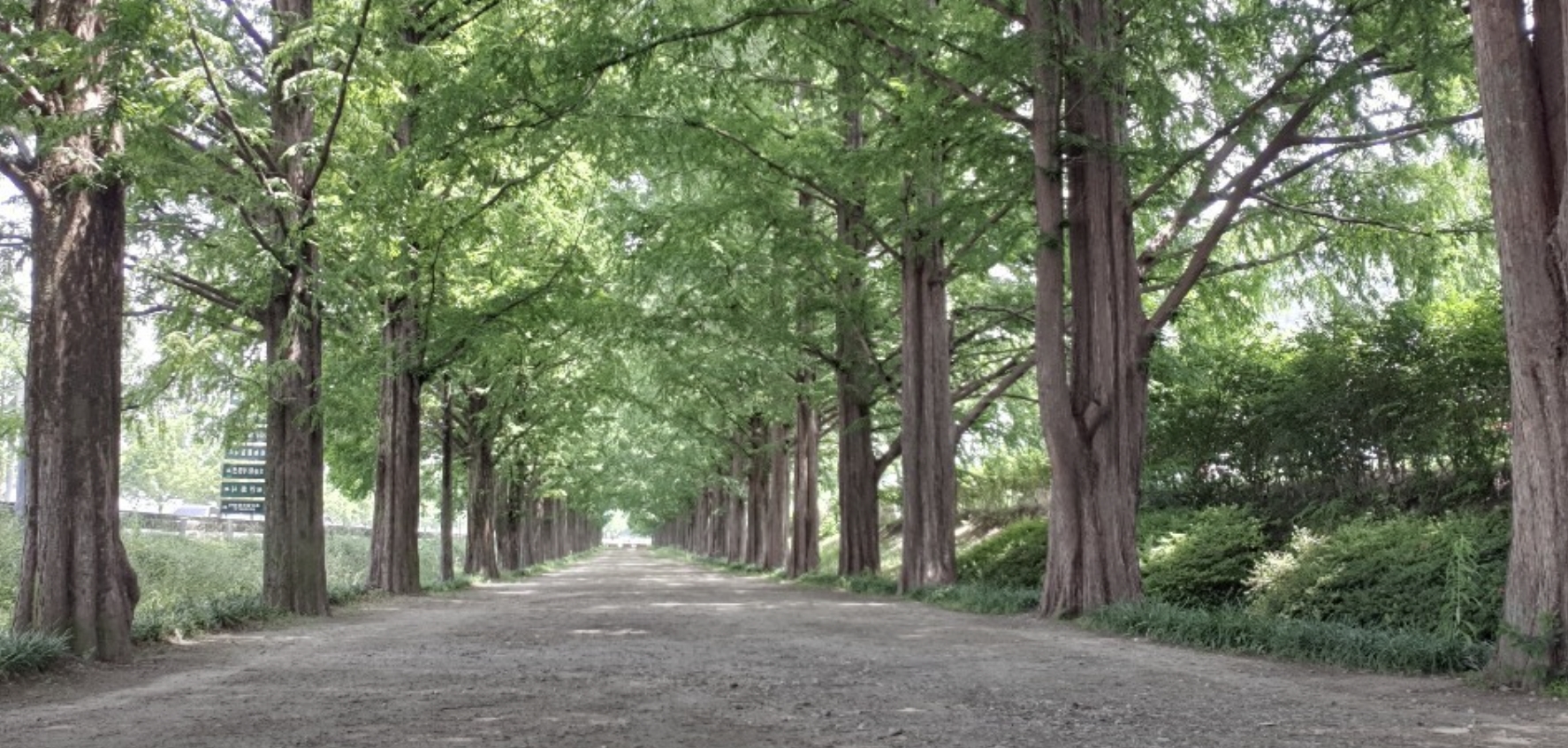 담양 둘러볼만한 곳 관련 사진