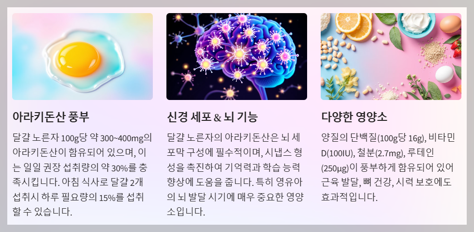 달걀 노른자