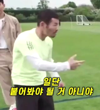 손웅정 사기 수사 이유