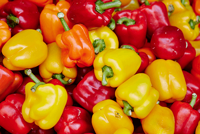 구우면좋은음식14