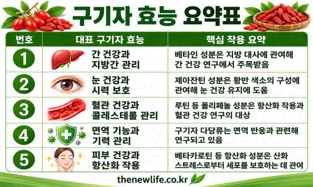 구기자 효능 요약표