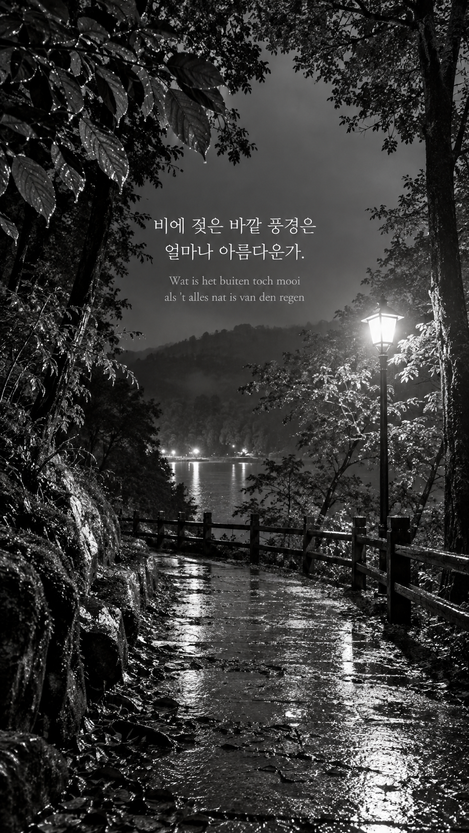 비에 젖은 풍경: 비에 젖은 바깥 풍경은 얼마나 아름다운가. 비에 젖은 숲길과 반사광, 밝은 플래시 스냅