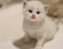 2025년, 암호화폐 시장 전망