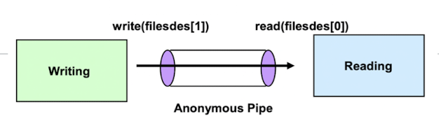 write, read 과정