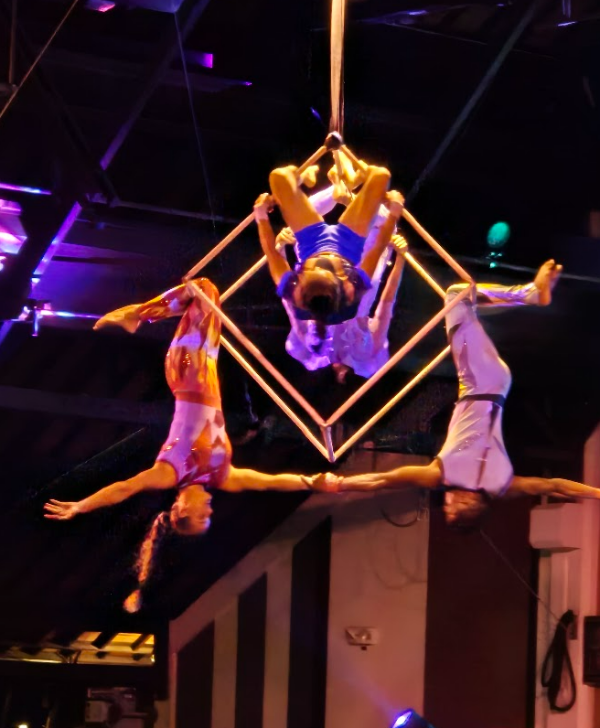 클럽메드 서커스