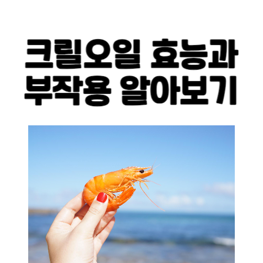 크릴오일 효능과 부작용