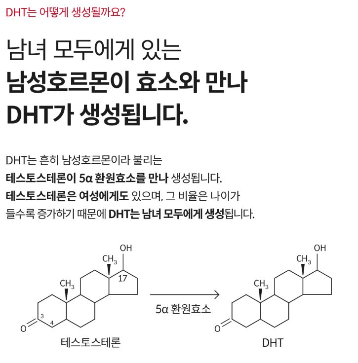 DHT-X 생성원인