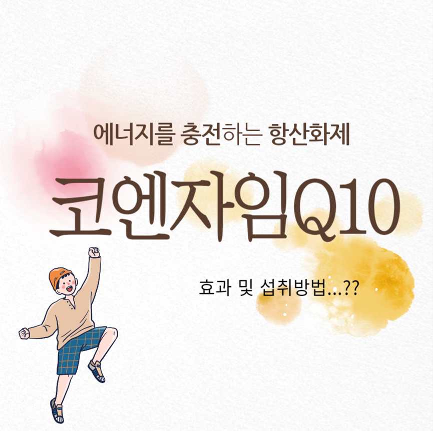 코엔자임 Q10: 에너지를 충전하는 항산화제