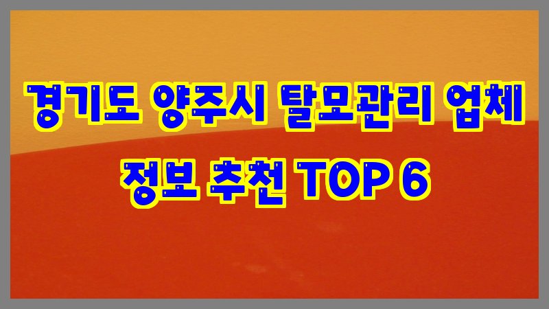 경기도 양주시 탈모관리