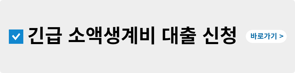 긴급 소액생계비 대출