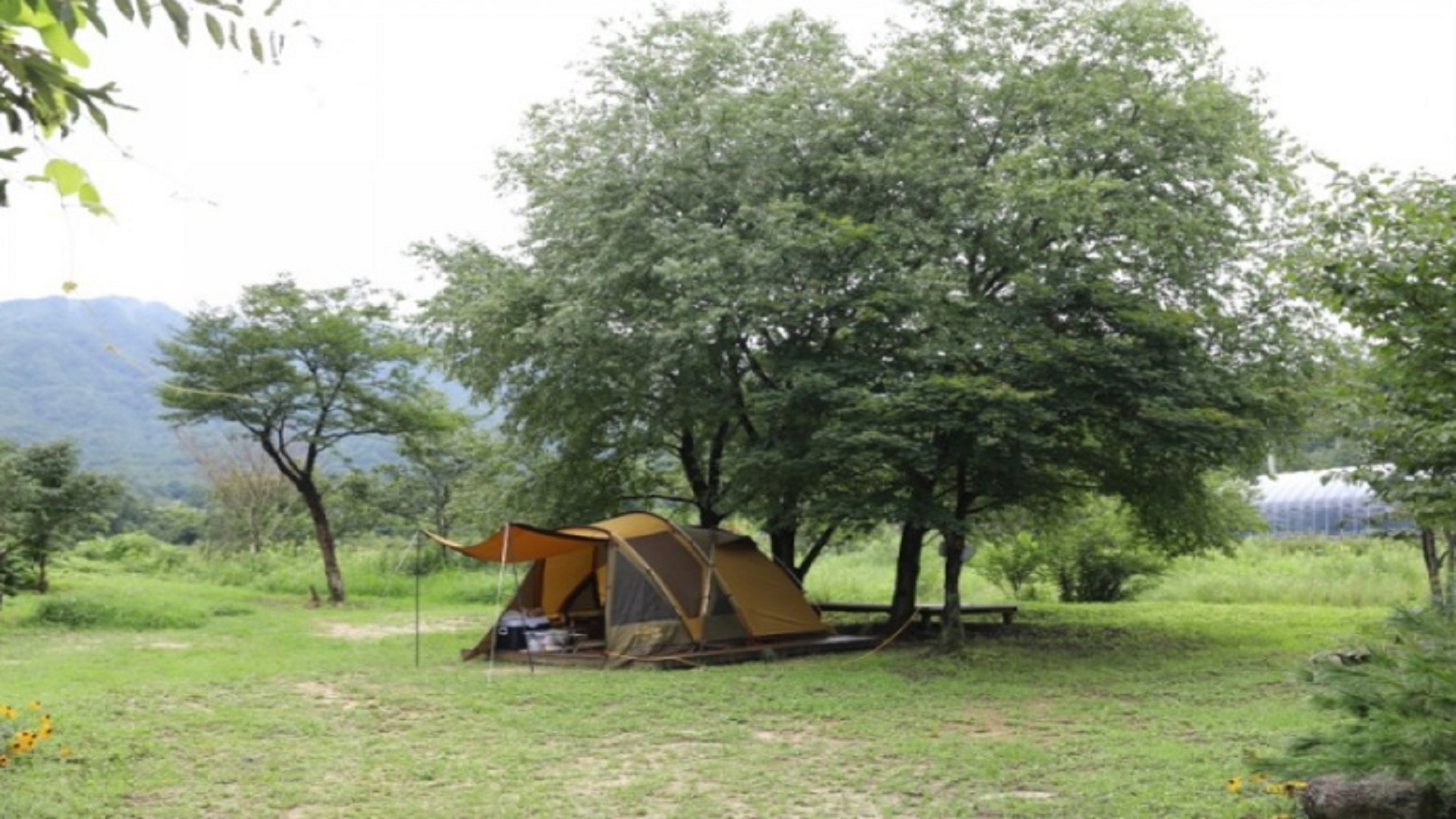 강원특별자치도 고성군 꽃내라팜 캠핑장 바로가기