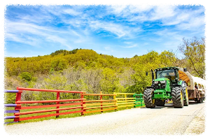 양떼목장만 있는 줄 알았다면 오산! 대관령 하늘목장