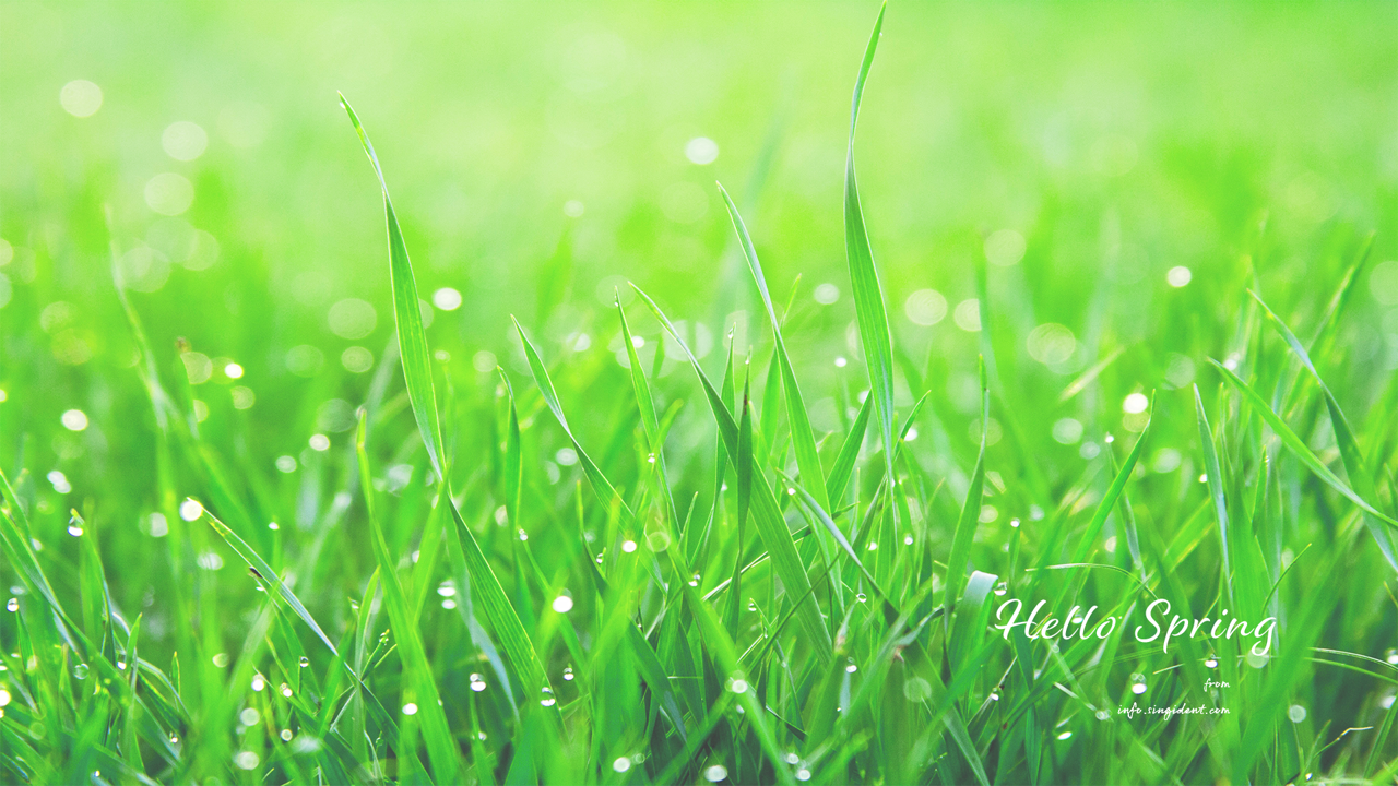 02 풀밭에 내리는 봄비 C - Hello Spring 봄배경화면