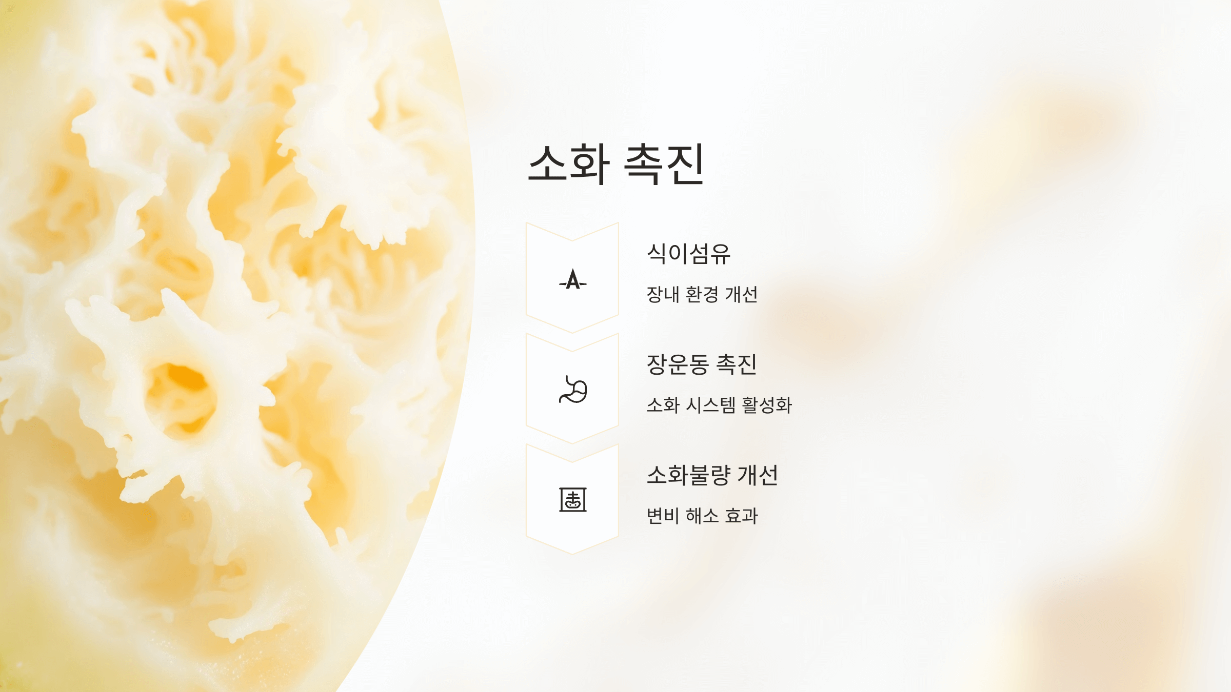 참외 사진입니다.