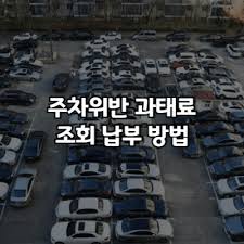 주차위반 단속여부 조회 간단 방법 