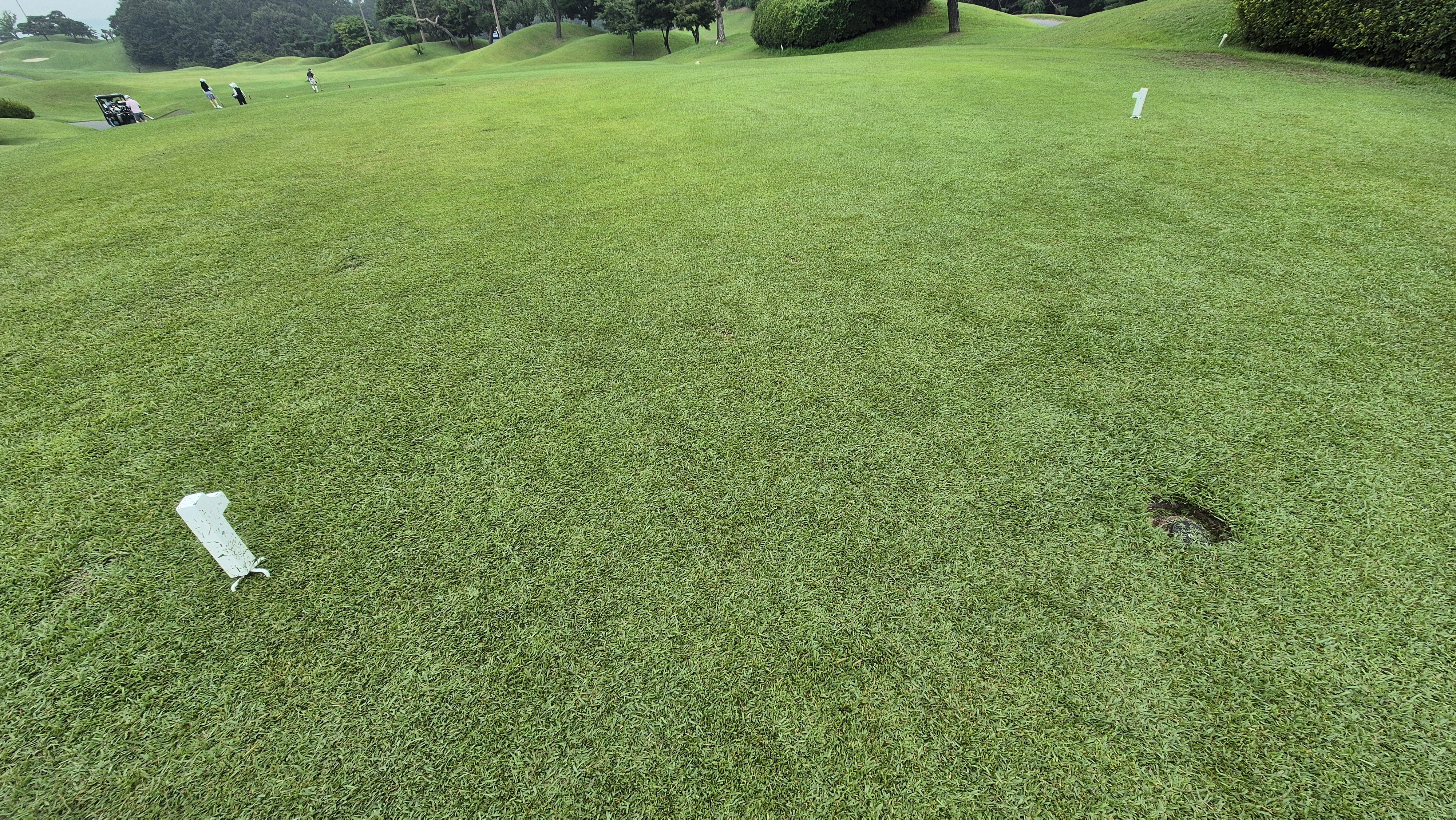 한림용인cc 다이아몬드-사파이어 코스 라운드 후기