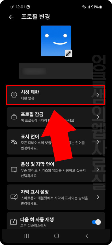 넷플릭스 시청 제한