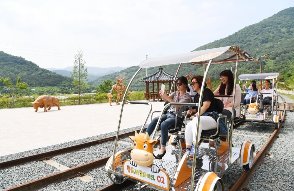 레일바이크 청도 정선 정동진 곡성