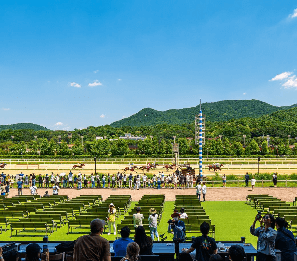 2024 렛츠런파크 서울 가을축제 밤마실 페스티벌