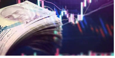 가평 자라섬 꽃 페스타🌸 어디까지 알고 계셨나요?