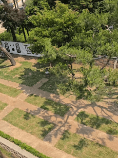 하남 & 경기 광주 반려견 동반 공간 Best 6 : 입장료, 위치, 시간까지 한눈에!