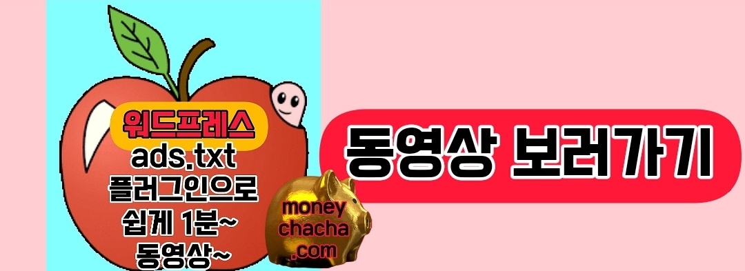 애드센스 워드프레스-Ads.txt Manager 플러그인 설치 후 붙여 넣기-동영상