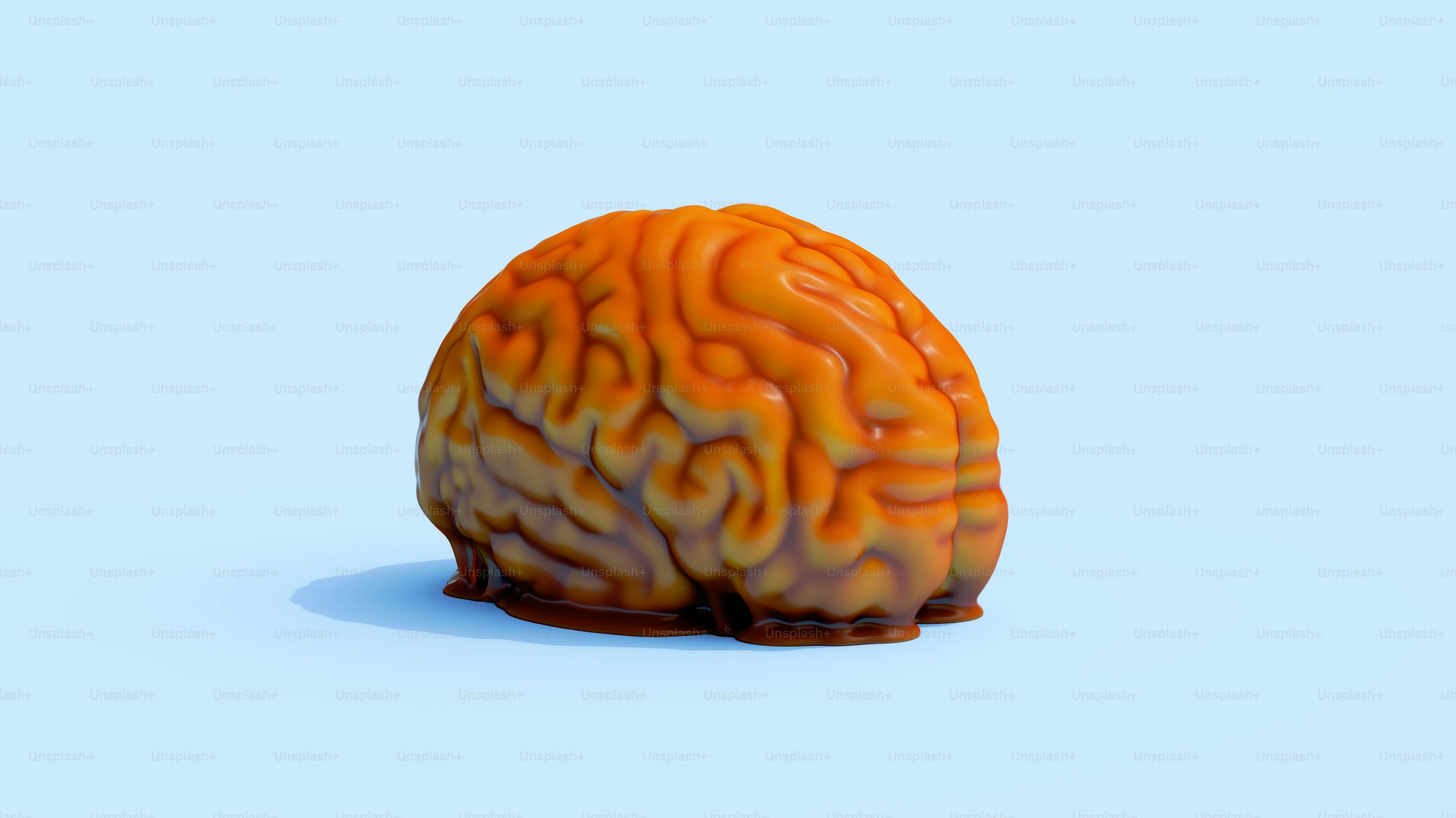 뇌 구조를 보여주는 3D 이미지