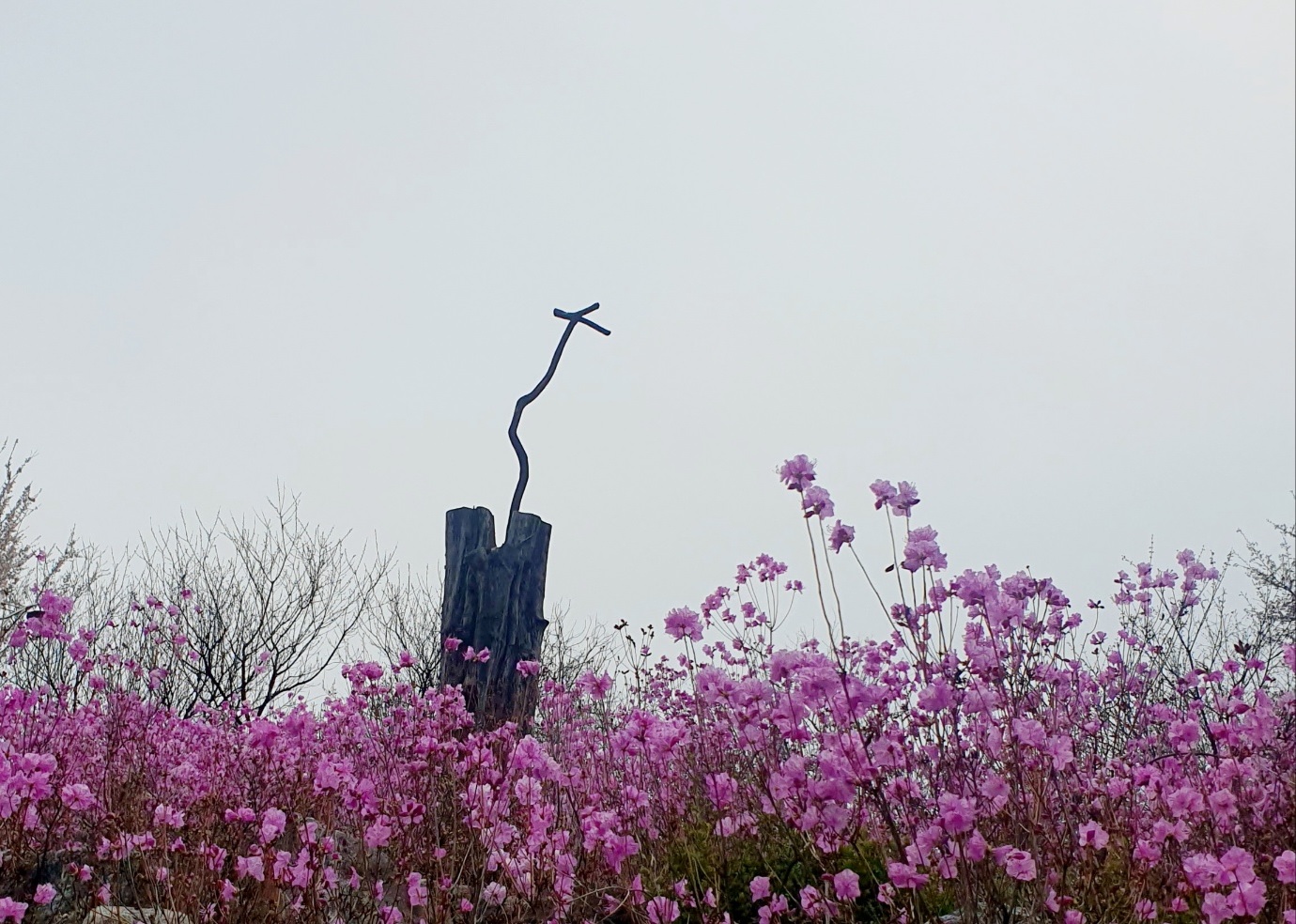 2025년 4월 셋째주 부활주일 주일예배 대표기도문