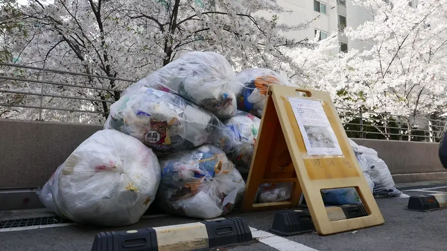 음식물 일반 쓰레기 구분