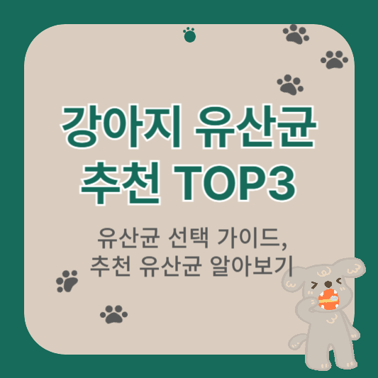 강아지 유산균 추천