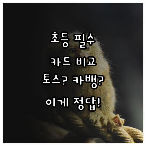 토스유스카드 카카오뱅크미니 초등학생 ..