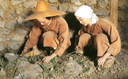 제주 앨리스 앤 트렁크 호텔 주변 제주공항 근처 가볼만한곳 BEST 10