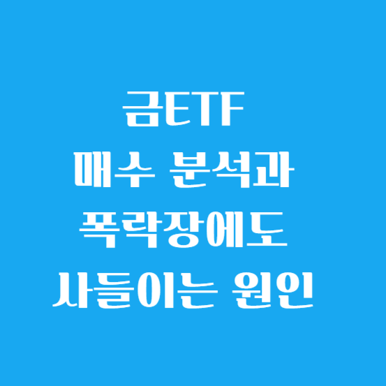 금 ETF 매수 분석과 폭락장에도 사들이는 원인 6가지