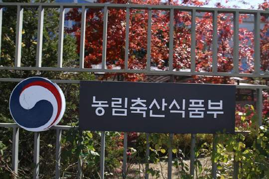 농어촌 시범사업 예산과 운영방식