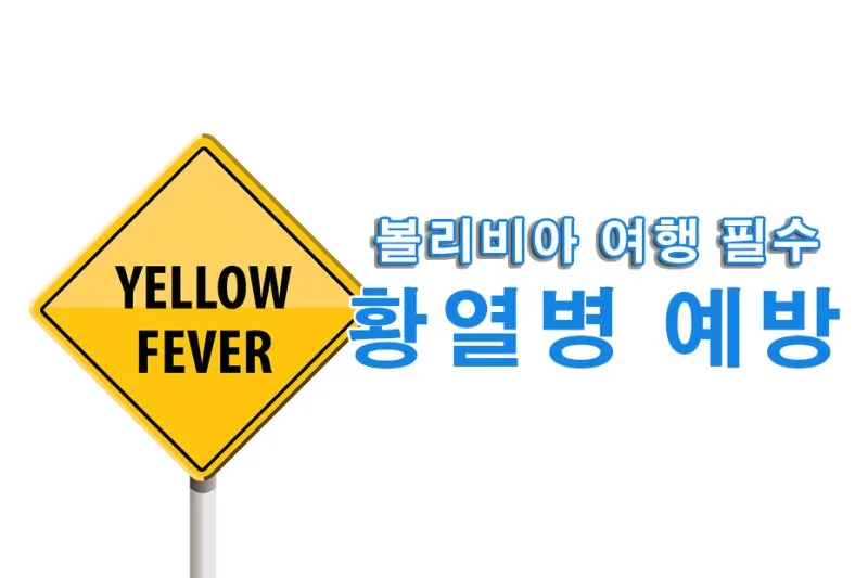 남미 황열병 예방접종 후기 경험과 준비사항_1