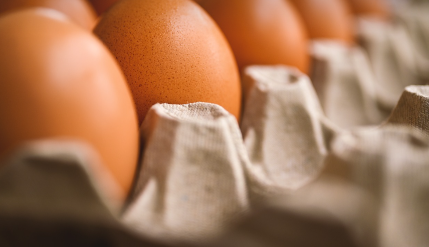 마른사람 살찌는 방법 | 이렇게 했더니 살이 쪘어요