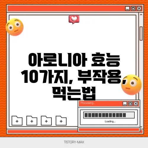 아로니아 효능 10가지, 부작용, 먹는법