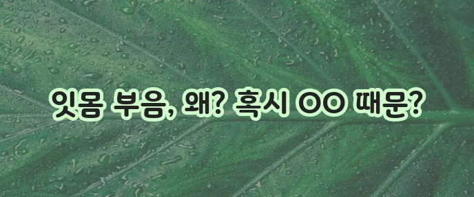 잇몸 붓고 아픈 이유 잇몸 부음 원인을 알아봐야 합니다!