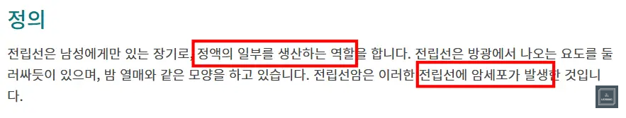 전립선암설명