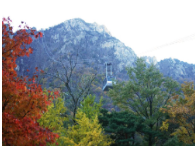 동백여행사 가을 추천 당일 여행