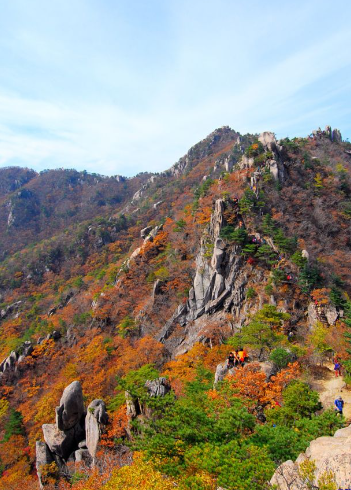 2025 가을 경상도 단풍 명소 산행 추천 ❘ 주왕산&middot;가야산&middot;팔공산 절정 시기