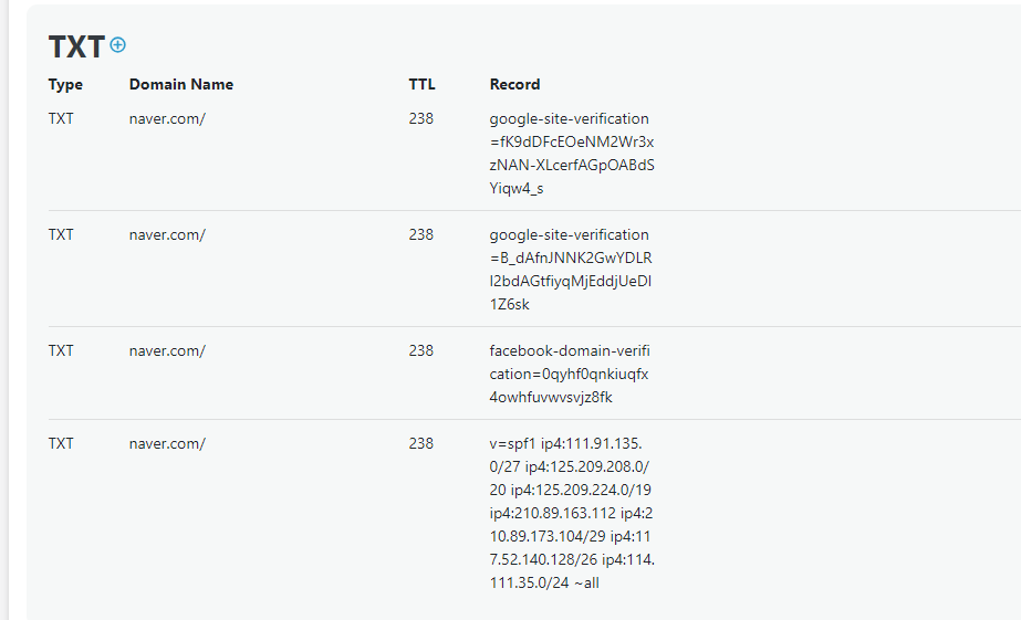 dns txt 등록 확인 방법