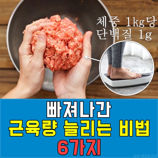 단백질 근육량 늘리는 방법, 근육 부자, 근감소증 좋은 음식 운동, 건강 팁줌 매일꿀정보