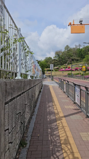 건강한 식습관 바른 식습관 기르기 - 초등학교 생활