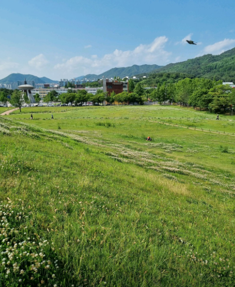 잊혀진 고대 왕국의 숨결을 찾아서 가야 고분군